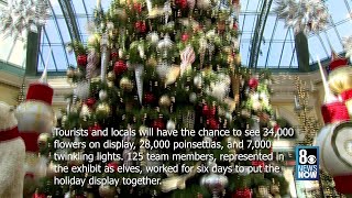 Bellagio Conservatory unveils 'Winter Wonderland' for holiday season