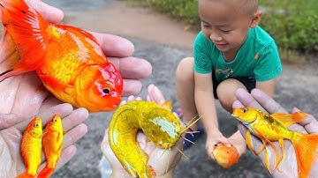 Top 10 video hay nhất..! Em ổi ra đồng tìm bắt cá vàng dễ thương tinh nghịch