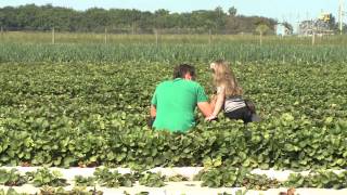 Florida Farming