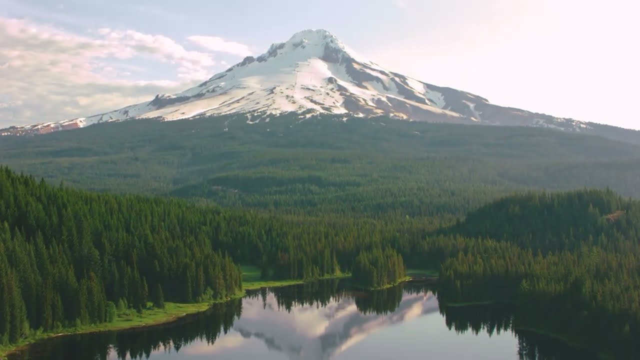 Oregon welcomes the world to the World Athletics Championships, Oregon 22