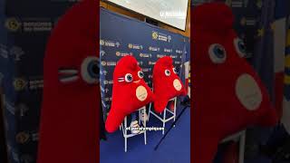 J-100 avant la cérémonie d'ouverture des JO2024 : le département remet des équipements sportifs