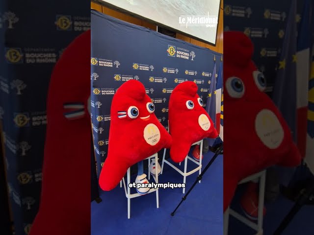 J-100 avant la cérémonie d'ouverture des JO2024 : le département remet des équipements sportifs