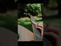 Crickets in the Thickets – country a cappella 🦗🎤
