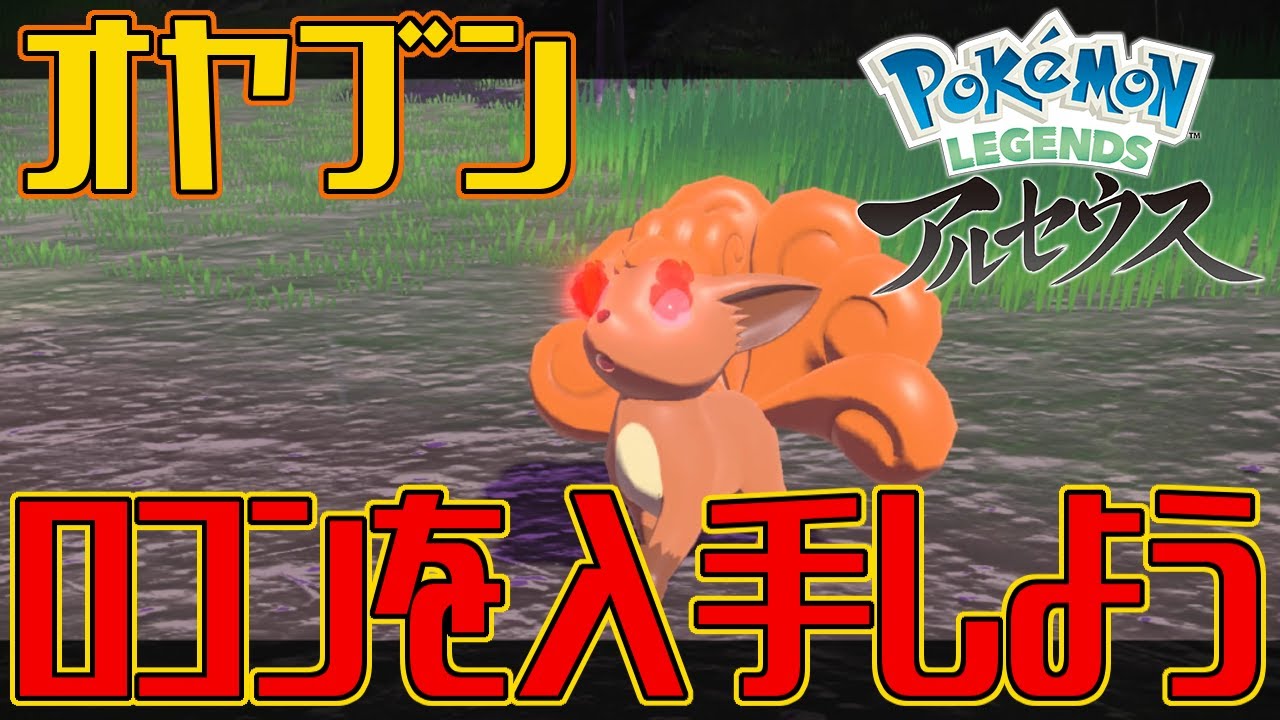 ポケモンアルセウス オヤブンのロコンを入手しよう Pokemon Legends アルセウス Youtube