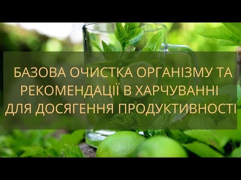 Базова очистка організму та рекомендації в харчуванні для досягення продуктивності та ясності в житт