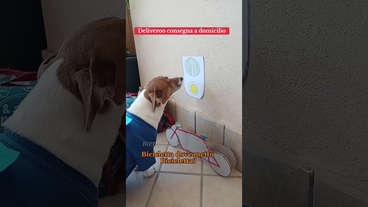 signora deliveroo🚲😂