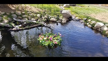 Building a floating plant island for your pond!