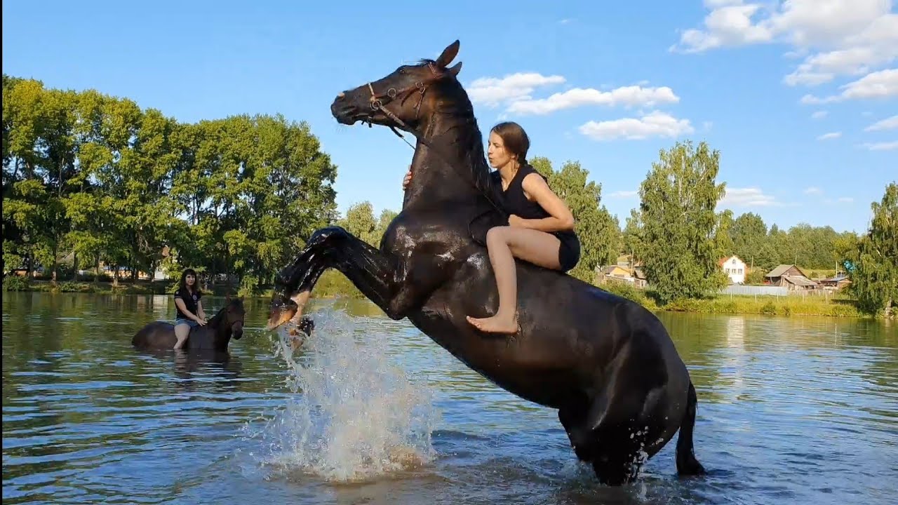 Купание на лошадях тренировка кони ижевск 11 июля 2020 г.