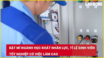 Bật mí ngành học khát nhân lực, tỉ lệ sinh viên tốt nghiệp có việc làm cao| Báo Lao Động