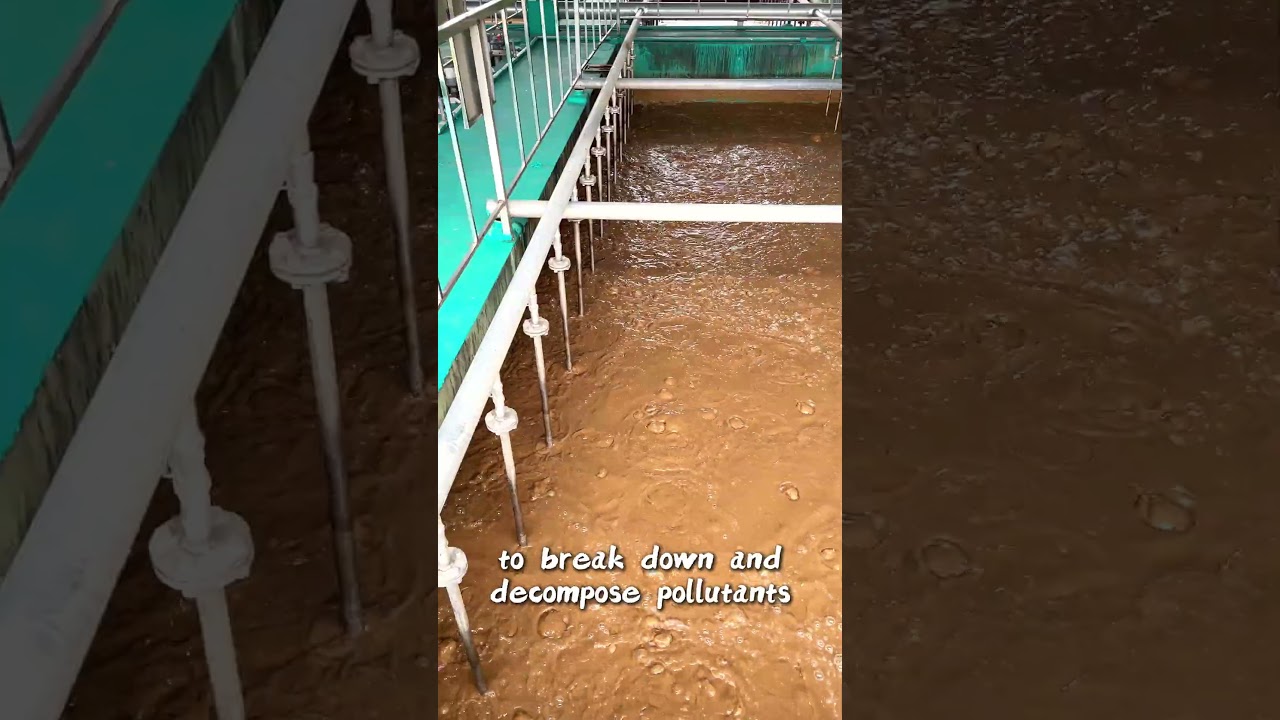 Water Treatment in Regenerated Leather Production 