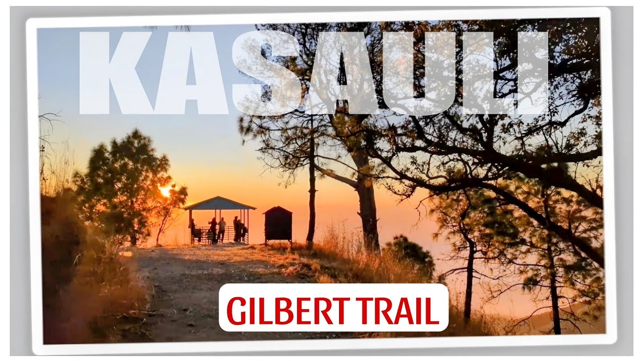 Gilbert Trail Kasauli Himachal, Complete Tour Guide To Visit Kasauli Hill Station,