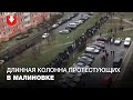 Длинная колонна протестующих в Малиновке днем 29 ноября