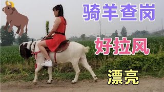 这姑娘骑羊火了，看看这骑技真的好美啊，这羊确实不一般啊，真牛