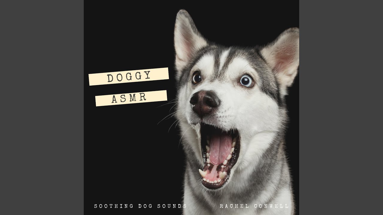 Watch Dog Panting on YouTube Watch Dog Panting on YouTube