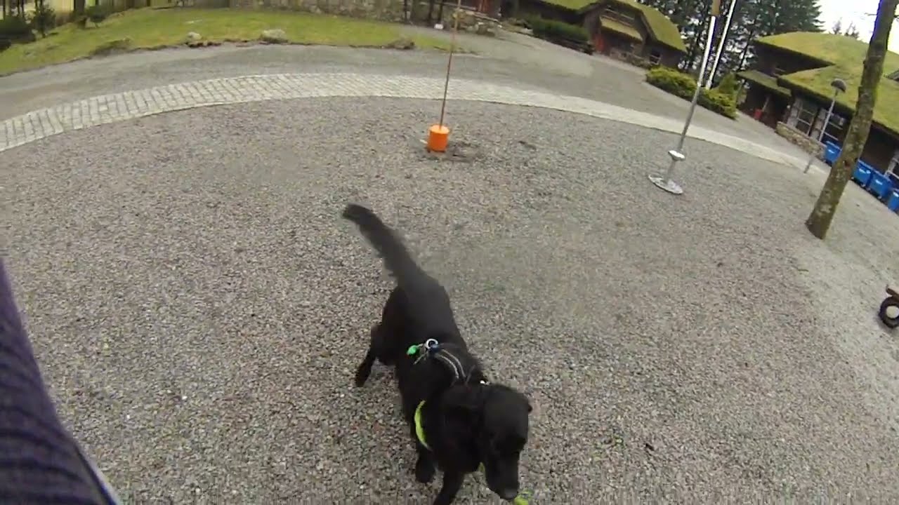 Holmavatn lekeapparat