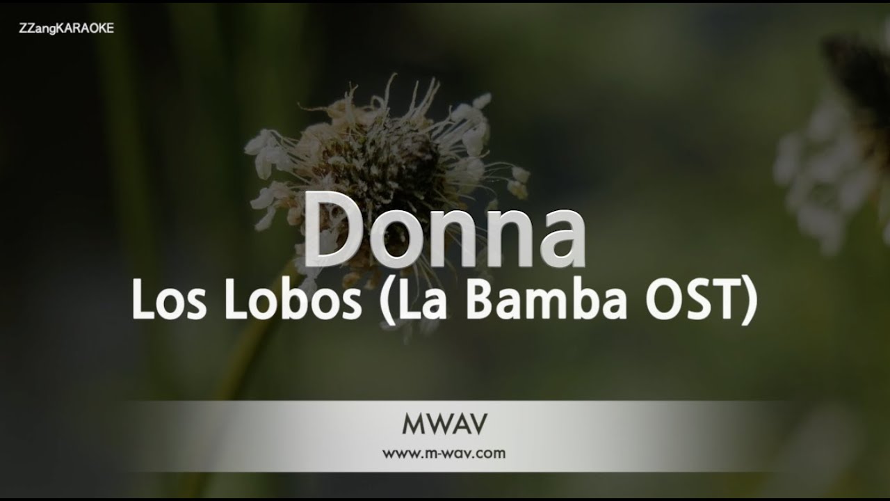 Los Lobos - Donna (La Bamba OST) (Melody) (Karaoke Version)