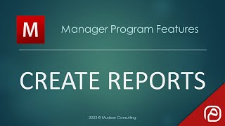 Manager.io Guides: 56 Create reports screenshot 5