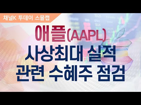 [주식투자][기업분석] 투데이스몰캡 / 사상 최대 실적 &amp;#39;애플&amp;#39;, 관련 수혜주 점검(20.01.29)