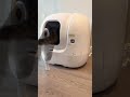 🐾 Smart Cat Care! PETKIT AI Litter Box with Camera &amp; Auto Cleaning 📸🐱✨