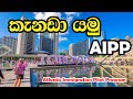 කැනඩාවට එන ලේසිම විදිහ| AIPP |Atlantic Immigration Pilot Program | Easiest way to Canada immigration