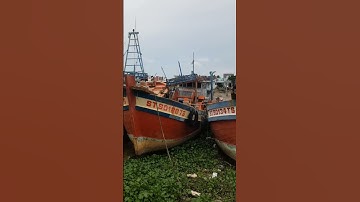 Khu neo đậu tàu Kinh Ba/SEN TRẮNG TV