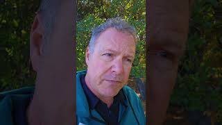 She Spent Her First 2 Months In Mexico Now Shes Being Deported There