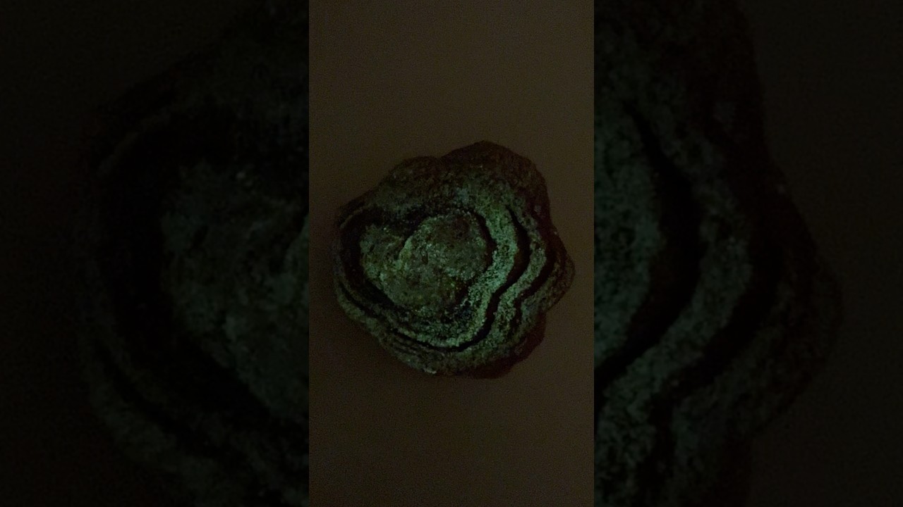 Эффект фосфоресценции строматолита