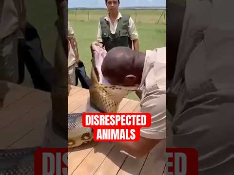 People Who Didn't Respect Animals...And Paid Dearly For It