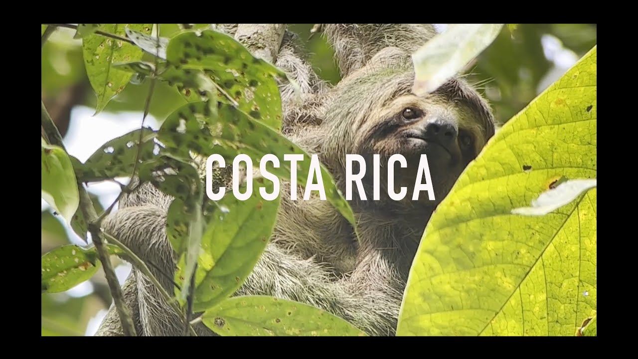 Costa Rica | Exploring Costa Rica in only 2 weeks!