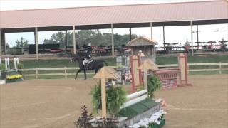 Mlec Aspca Maclay