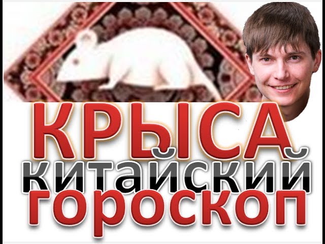 крыса китайский гороскоп. Рожденные в год крыса восточный гороскоп