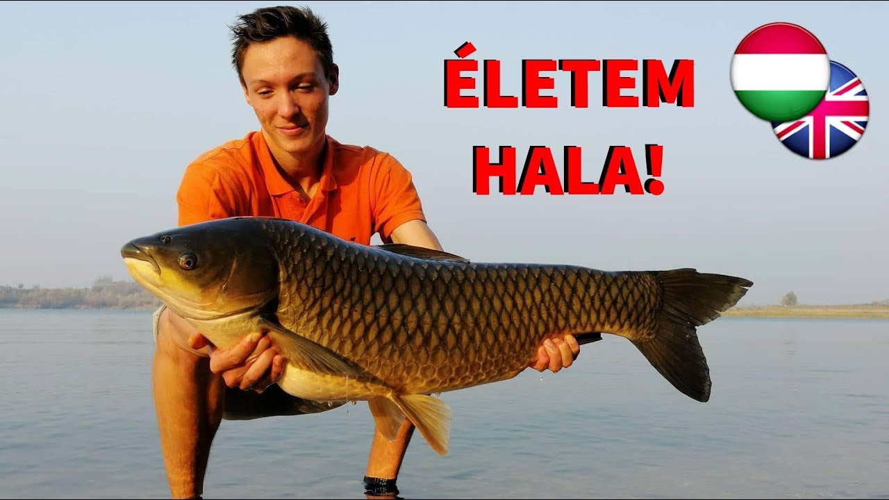 ÉLETEM HALA - Csodálatos ősz a rejtélyes Muhi Beach-en🍁🌅🎣 (S2E2)