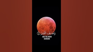 سورة القيامة ياسر الدوسري