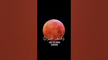 سورة القيامة ياسر الدوسري 