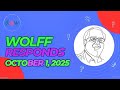 Wolff Responds Trump S Doomed Economic Policy Riddled With Contradictions Dated October 1 2025 mp3