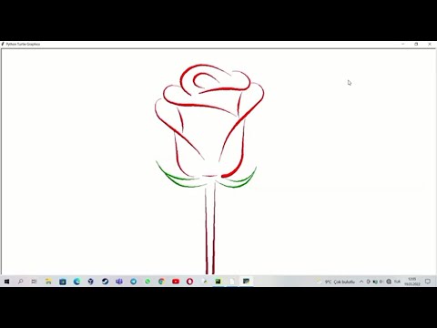 Python ile Sevdiklerinize Göndermelik Gül Çizimi(Turtle Module)