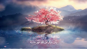 ومن يتقي الله يجعل له مخرجا | القارئ رعد كردي | حالات واتساب