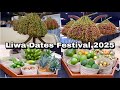 Liwa Date Festival 2025 Full Tour Liwa Date Festival 2025 Full Tour