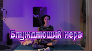 Блуждающий нерв #йога #СПб #практика #тренировка #Арт #openyoga #fysm #зож #хатха