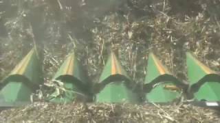 Drago Corn Heads   Harvesting Down Corn
