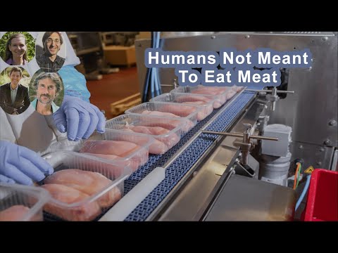 Why Humans Were