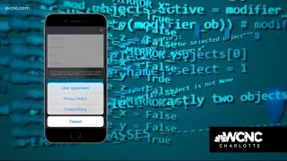 These apps collect the most personal data