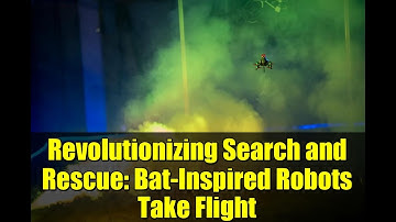 Revolutionizing Search and Rescue: Bat-Inspired Robots Take Flight