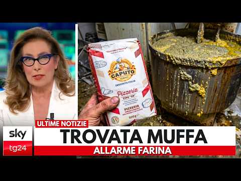 Video ALLARME FARINA: NON COMPRARLA PRIMA DI CONTROLLARE QUESTA LETTERA!