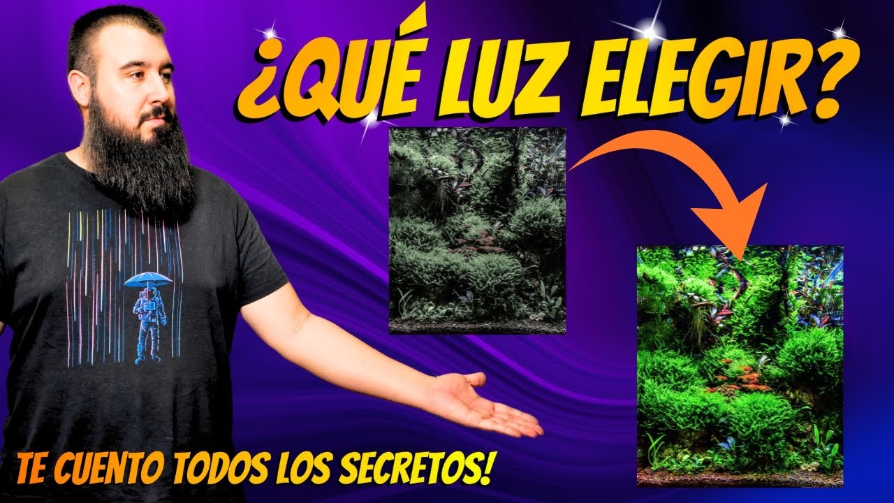 💡 La Iluminación PERFECTA para tu Acuario 🐠 Tipos, Potencia y Colores EXPLICADOS | GUÍA COMPLETA