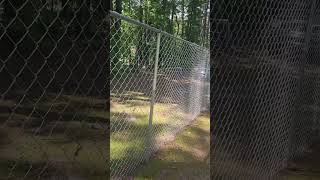 #extending 4 foot chainlink fence to 6 foot