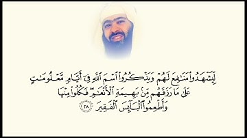 تلاوة خاشعة للقرآن الكريم فضيلة الشيخ د.هاشم ابو دلال✨