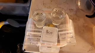 THCV, here I come, as things get Hazy as well!