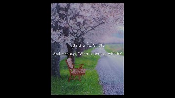 تلاوة مؤثرة وهادئة سورة الزلزلة 🥀  حالات واتس دينية