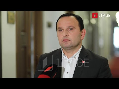 ევროპარლამენტის რეზოლუცია - შეფასებები პოლიტიკურ სპექტრში